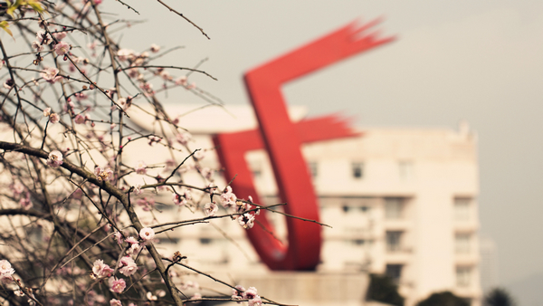 春意
